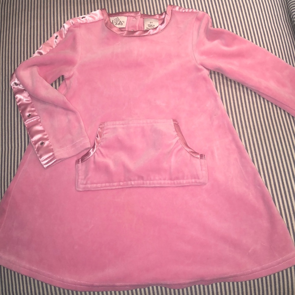 2T Girls N-kids pink velour dress from Nordstroms